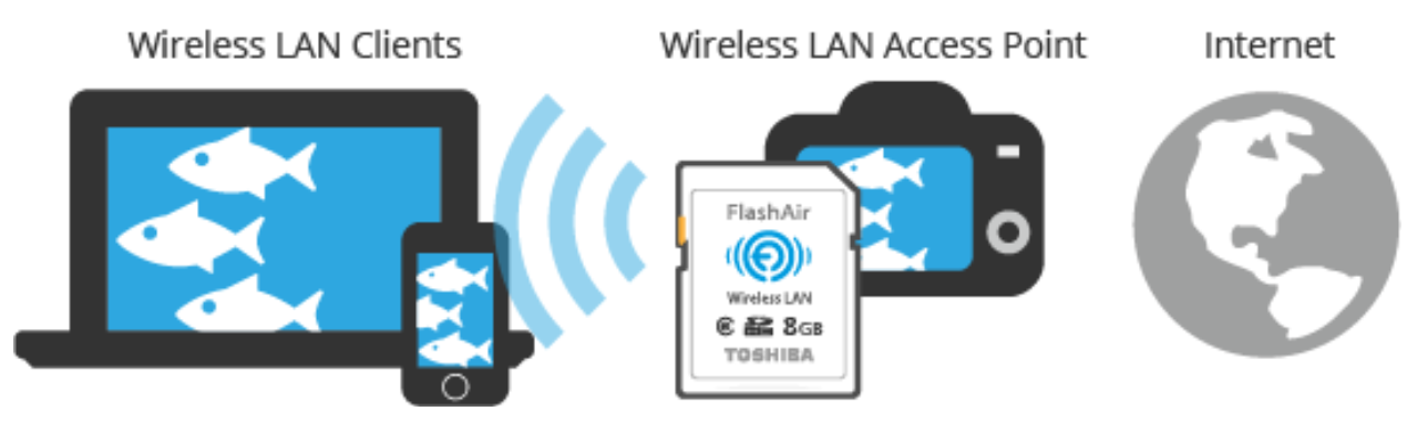 Access point diagram